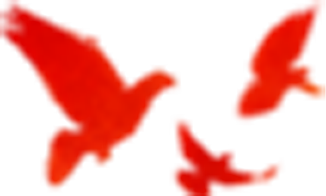 6401.png