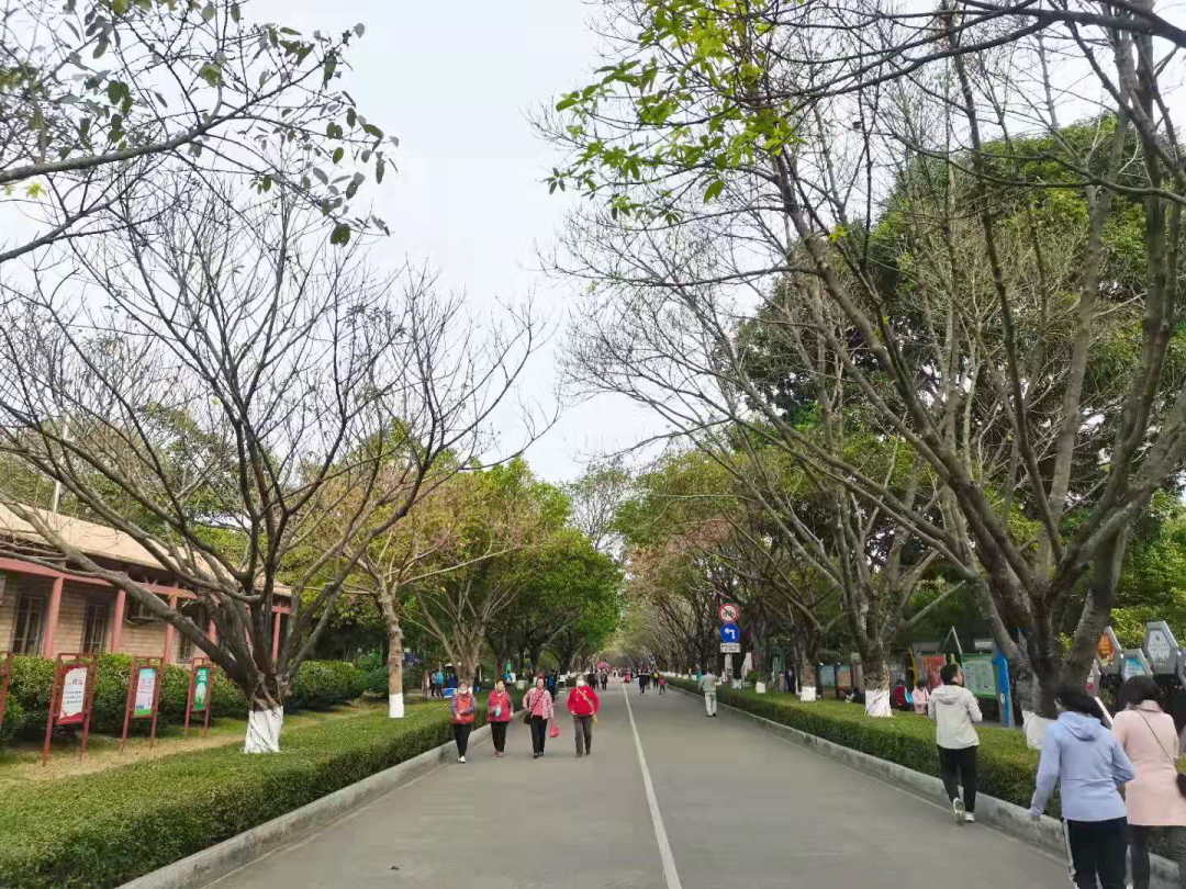 640 (1).png