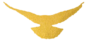 640 (1).png